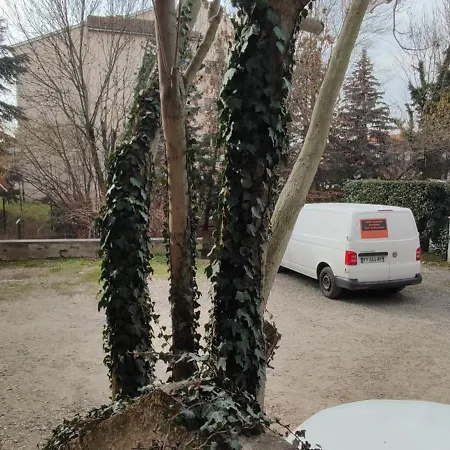 L Ephemere Escale *